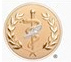 Board Certified Foot and Ankle Surgeons Logo